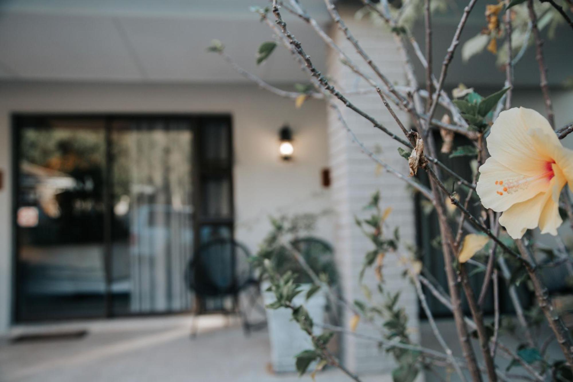 The Symphony Guest House Queenstown Bagian luar foto